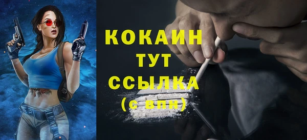 ПСИЛОЦИБИНОВЫЕ ГРИБЫ Арсеньев