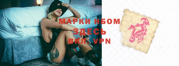 ПСИЛОЦИБИНОВЫЕ ГРИБЫ Арсеньев