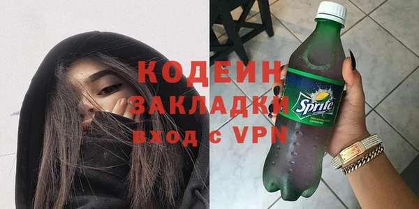 ПСИЛОЦИБИНОВЫЕ ГРИБЫ Арсеньев