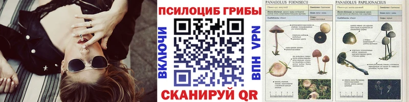 KRAKEN сайт  Бронницы  Галлюциногенные грибы мицелий  купить наркоту 